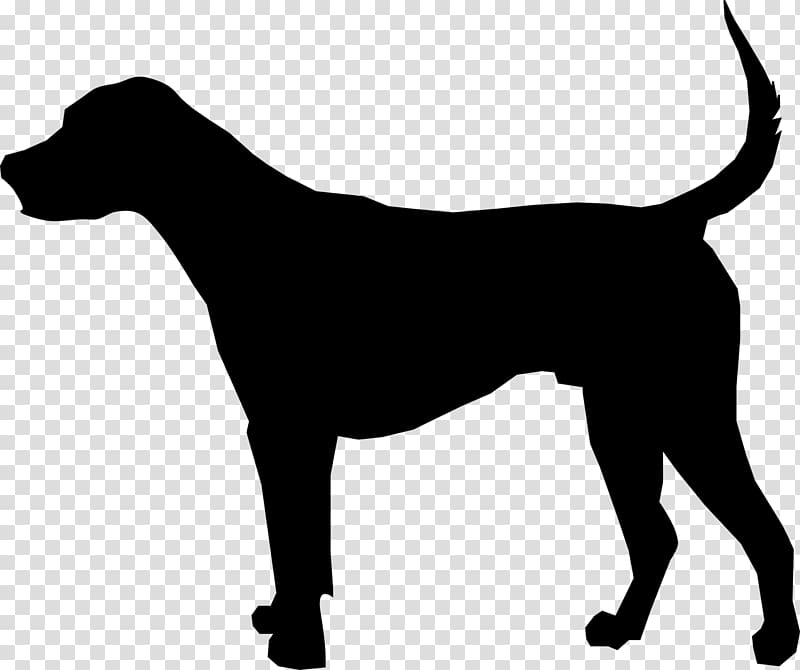English Foxhound American Foxhound Silhouette , Silhouette transparent background PNG clipart