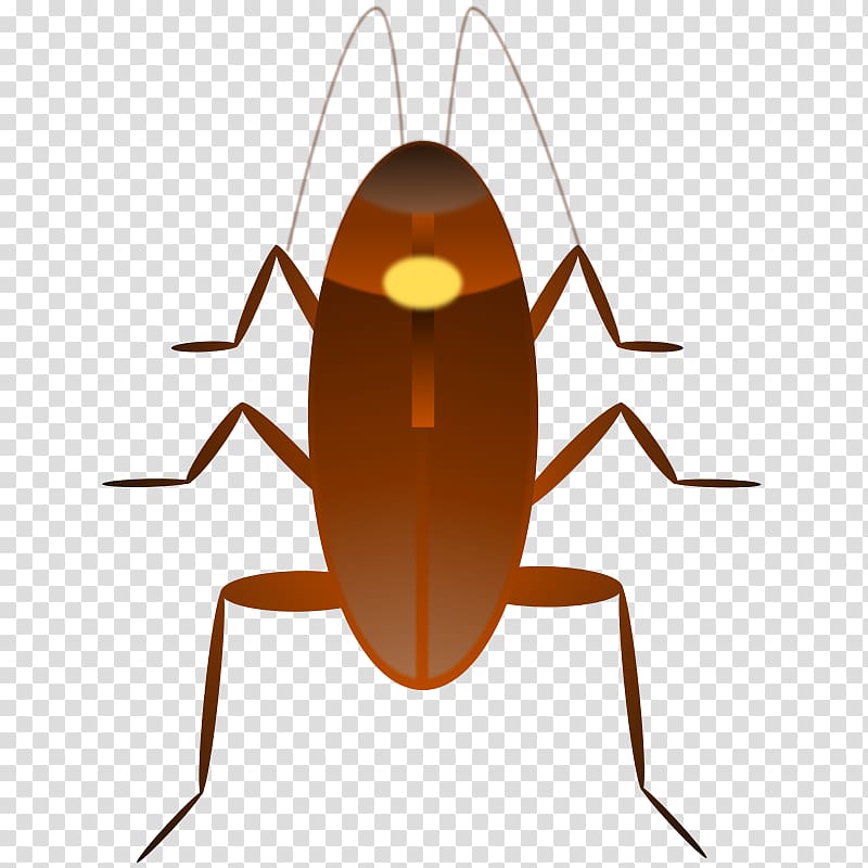 Dr. Cockroach , cockroach transparent background PNG clipart