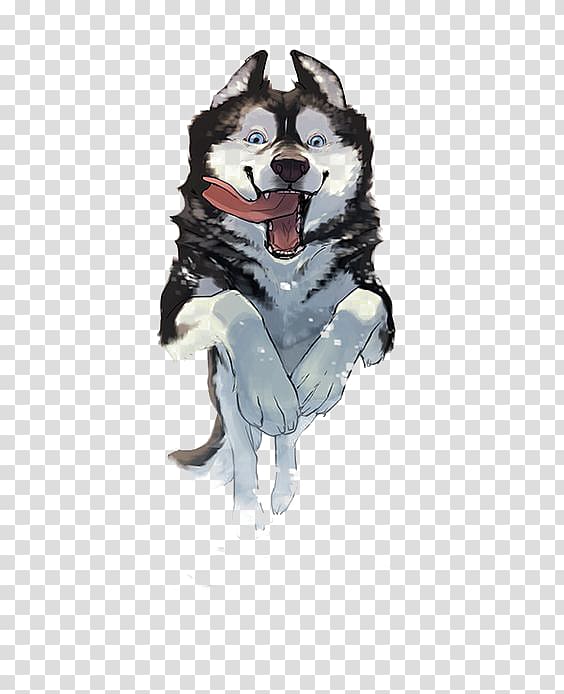 huskies transparent background PNG clipart