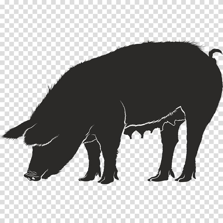 Domestic pig Guinea pig Silhouette , Silhouette transparent background PNG clipart