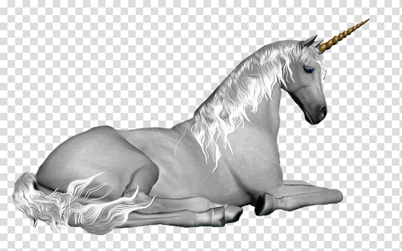 Unicorn GIF Fairy Horse Legendary creature, unicorn transparent background PNG clipart