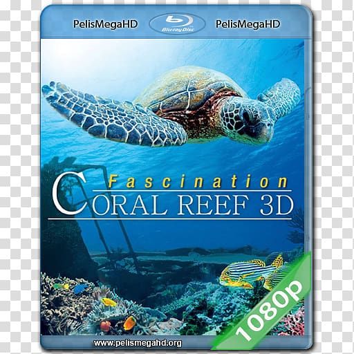Blu-ray disc 3D film 1080p Digital copy Documentary film, coral reef drawing transparent background PNG clipart