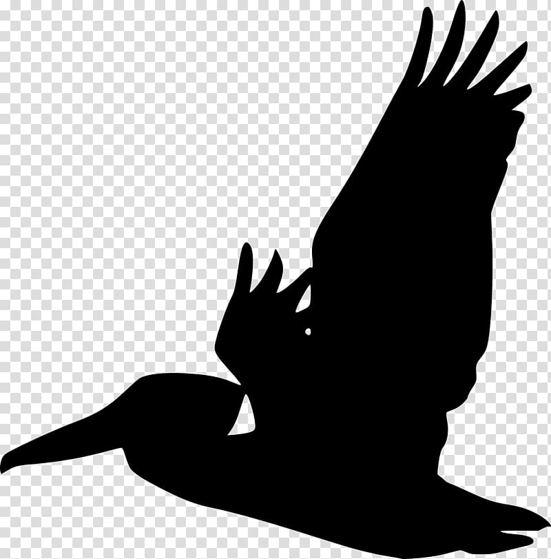 Pelican Bird Silhouette , Bird transparent background PNG clipart