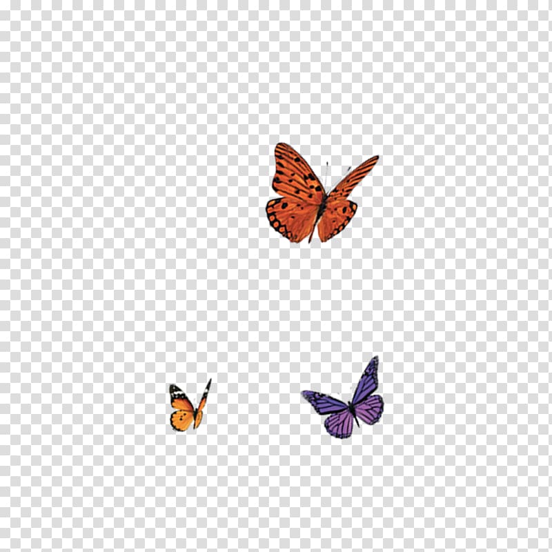 four butterflies , Butterfly Nymphalidae, butterfly transparent background PNG clipart