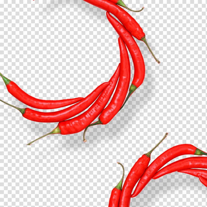 Birds eye chili Organic food Cayenne pepper Chili pepper Chili con carne, Chili elements transparent background PNG clipart