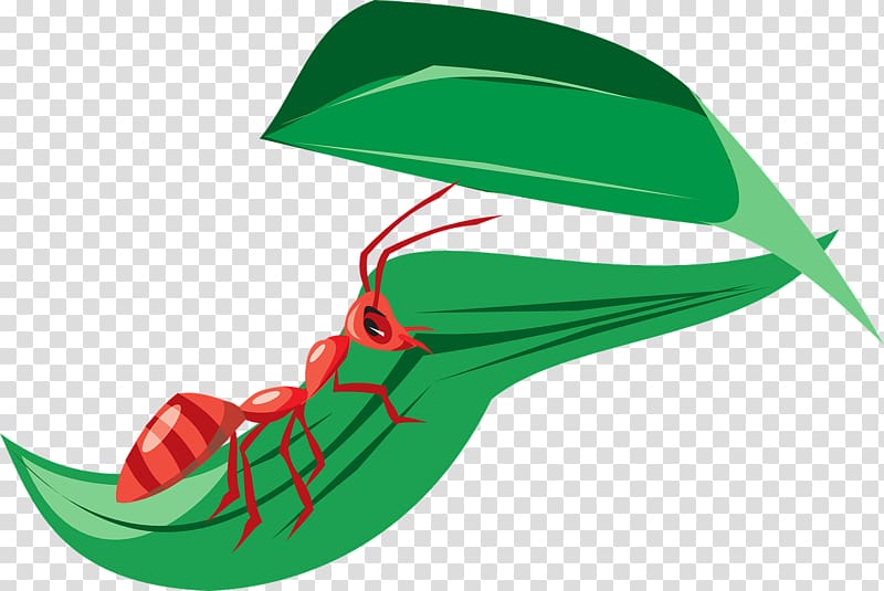 Ant Leaf Scalable Graphics , Red ants transparent background PNG clipart