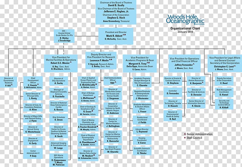 Organizational chart Organizational structure Corporation, vision mission transparent background PNG clipart