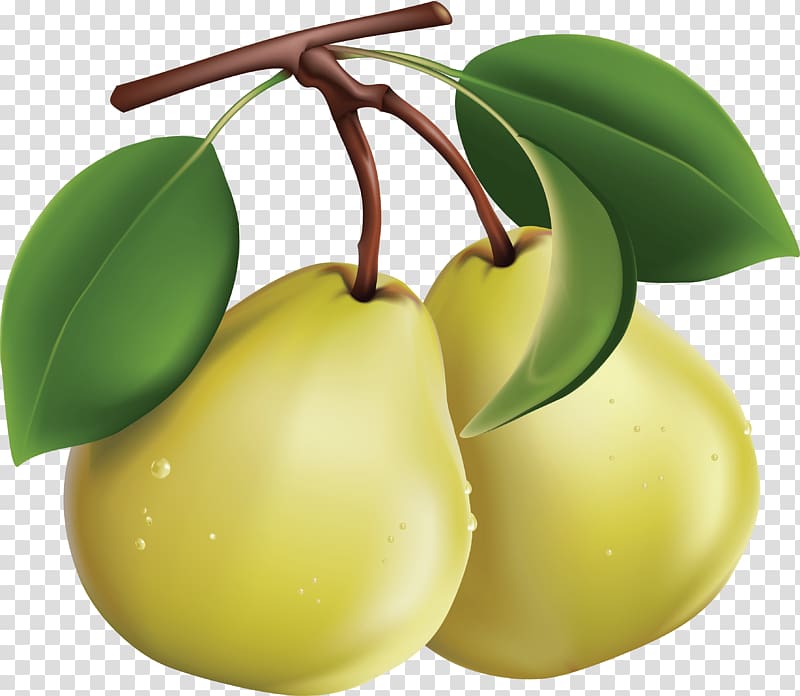 Fruit Bosc pear , fruits transparent background PNG clipart