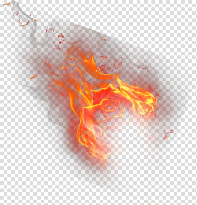 Fire Flame Tiger , red flame transparent background PNG clipart