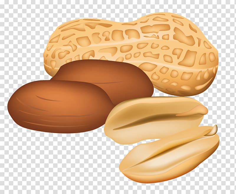 brown peanut illustration, Peanut butter and jelly sandwich , Peanuts transparent background PNG clipart