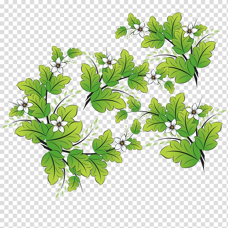 Hand-painted lily flower material transparent background PNG clipart