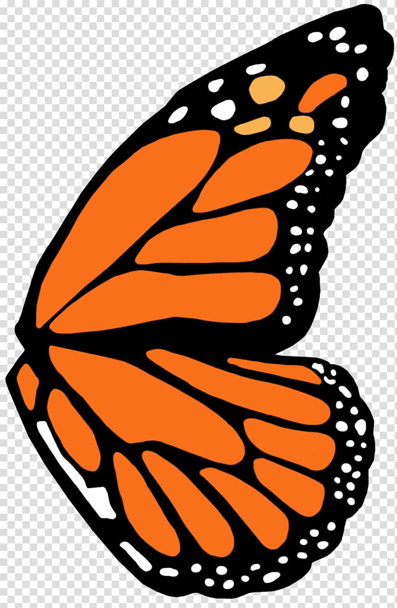 Monarch butterfly Nymphalidae , butterfly wings transparent background PNG clipart