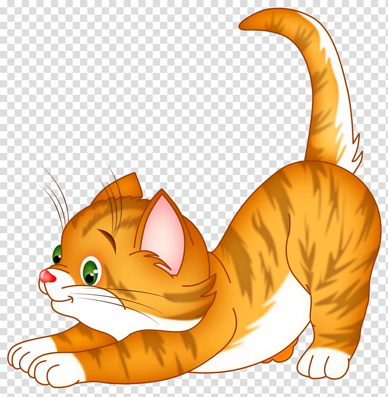 Wildcat Kitten , Cat transparent background PNG clipart