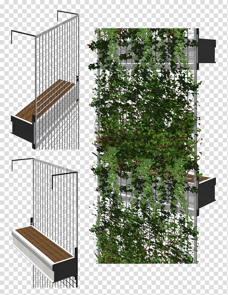 Facade Green wall Architecture Garden, building transparent background PNG clipart