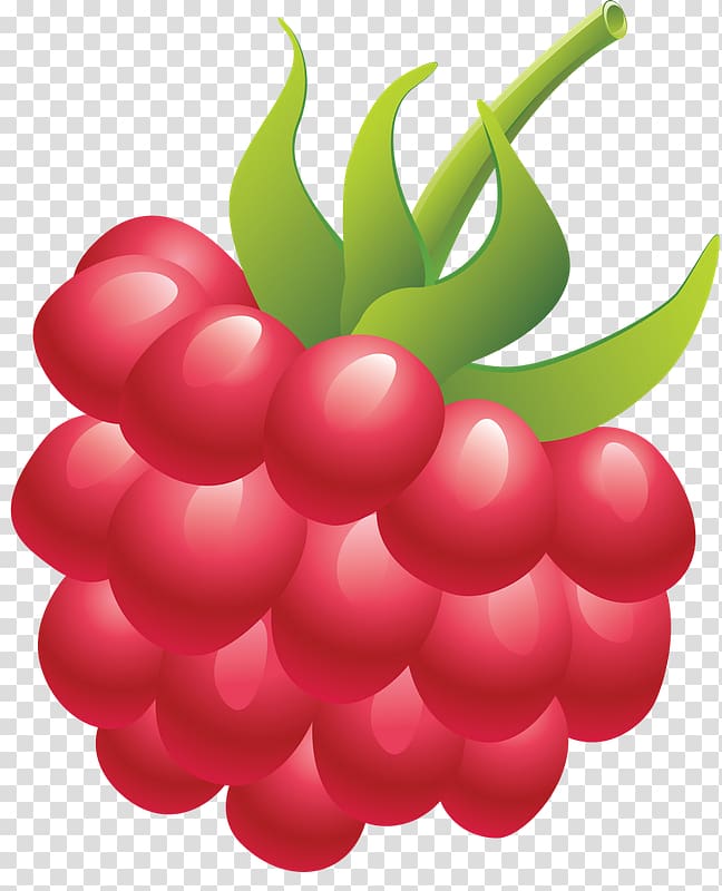 Red raspberry Portable Network Graphics Berries, raspberry transparent background PNG clipart