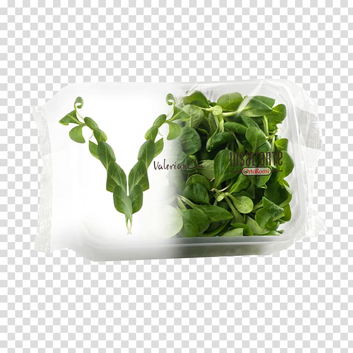 Food Salad Ice cream Side dish, salad transparent background PNG clipart