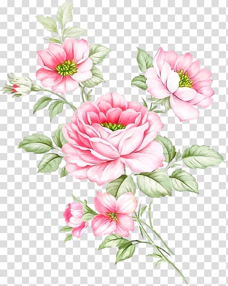 Garden roses Floral design Advertising Cut flowers, design transparent background PNG clipart