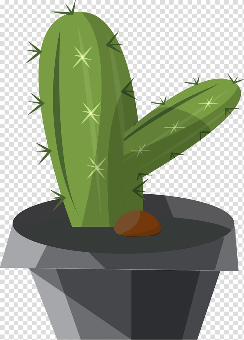 Cactaceae Illustration, Exquisite cartoon cactus transparent background PNG clipart