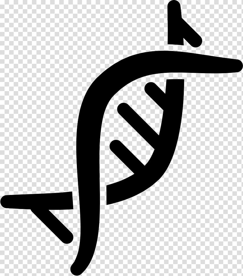 DNA Computer Icons Genetics Nucleic acid double helix, 基因 transparent background PNG clipart