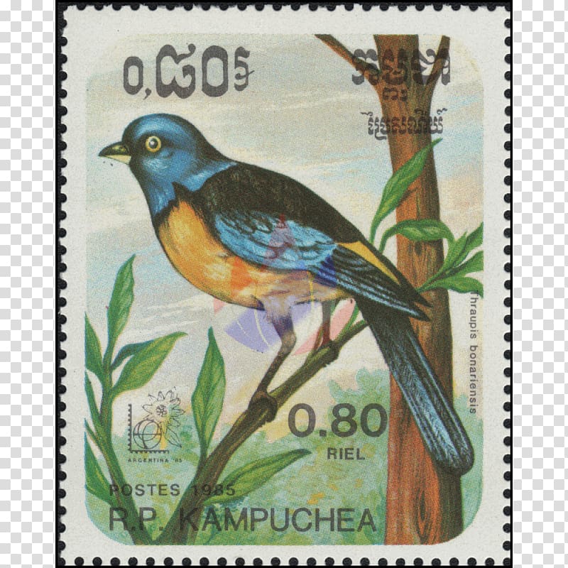 Advertising Airmail Postage Stamps Beak, ramphastos toco transparent background PNG clipart