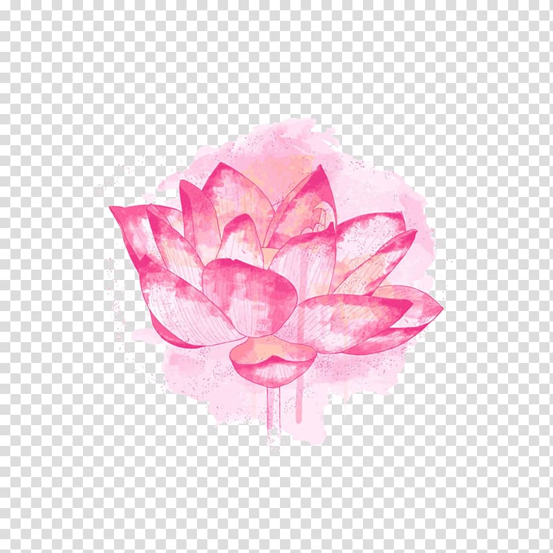 Nelumbo nucifera Plant symbolism, Pink lotus watercolor transparent background PNG clipart