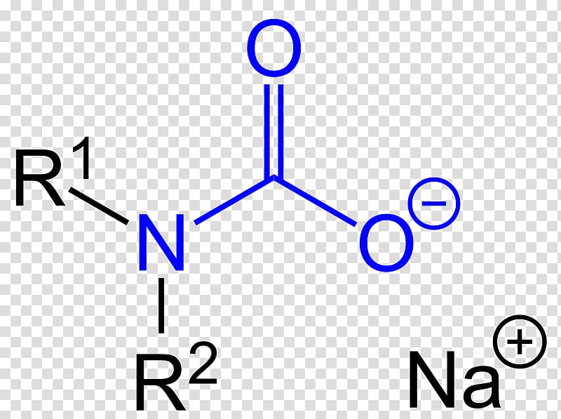 Methyl group Molecule Acetylcholine Chemistry Acid, Carbamate transparent background PNG clipart