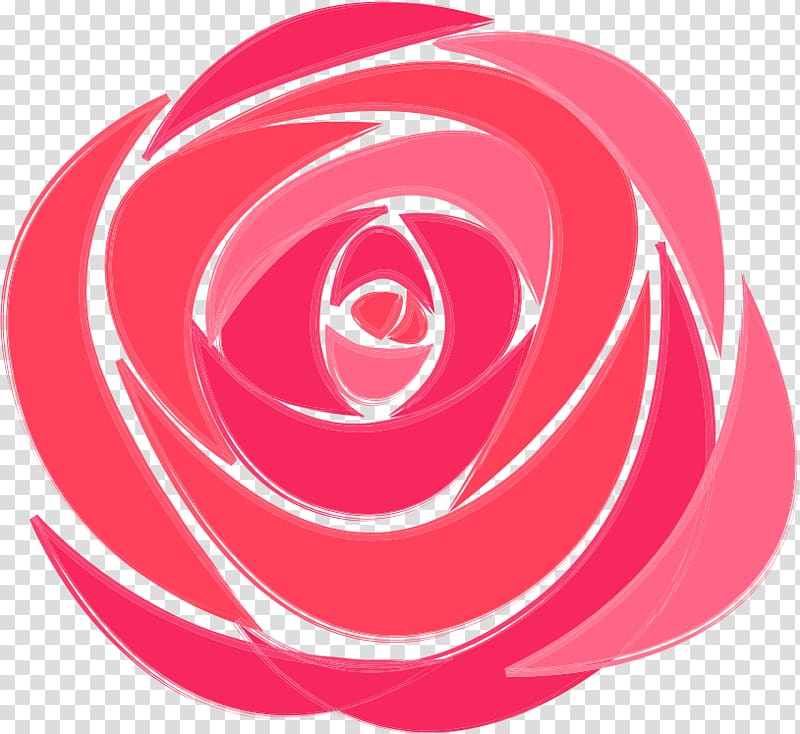 pink rose illustration, Beach rose Garden roses, Rose transparent background PNG clipart