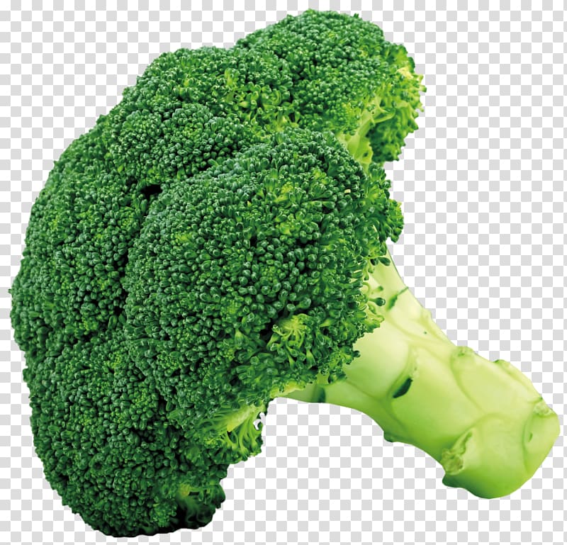Broccoli Cauliflower Cabbage Coleslaw, vegetables transparent background PNG clipart