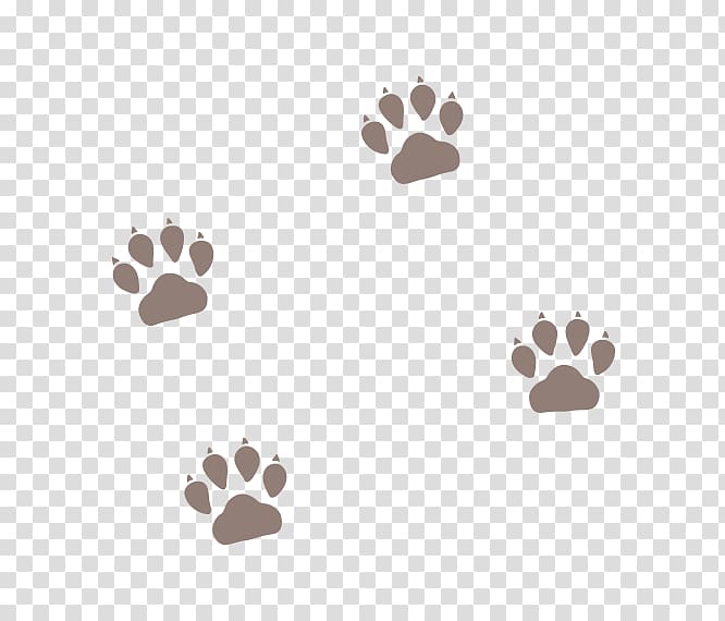 Dog Puppy Kitten Cat Tiger, paw prints dog pet supplies transparent background PNG clipart