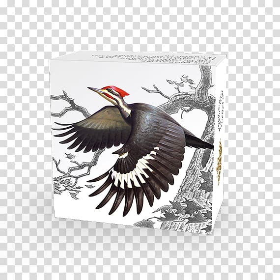 Migratory Birds Convention Act Woodpecker Migratory Bird Treaty Act of 1918, Bird transparent background PNG clipart
