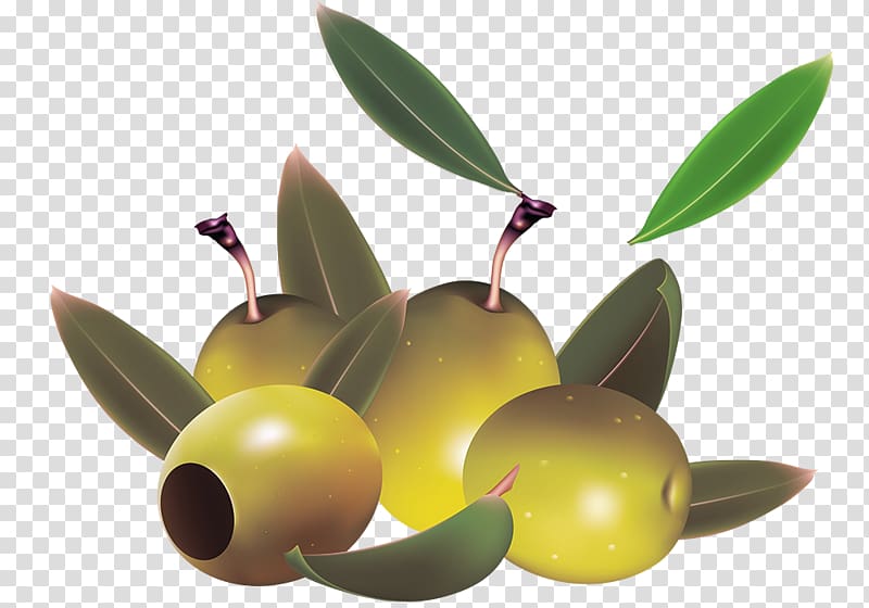 Olive wreath, Pale yellow olive material transparent background PNG clipart