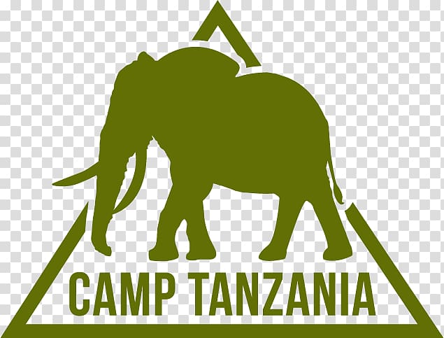 Camps International Mount Kilimanjaro Kenya Summer camp Volunteering, angkor wat transparent background PNG clipart