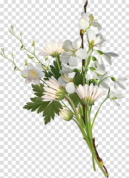 Flower bouquet Cut flowers Chrysanthemum , flower transparent background PNG clipart