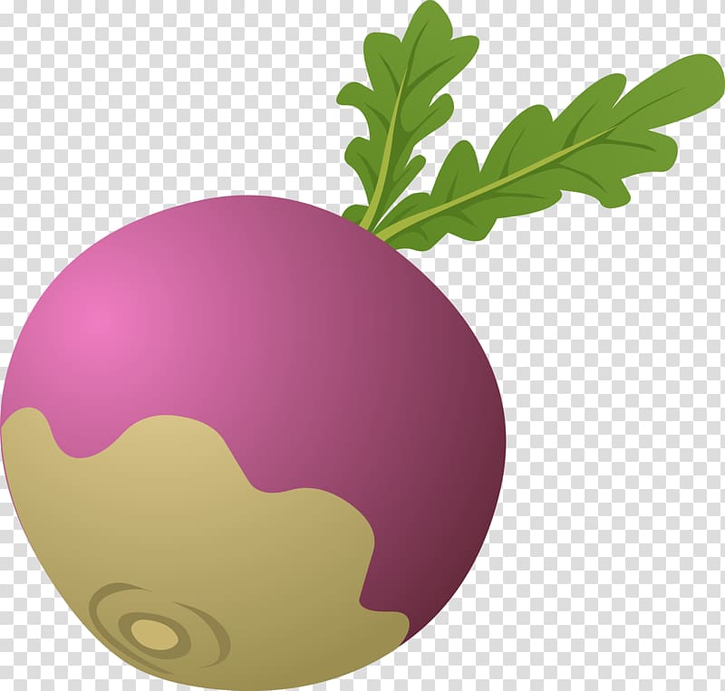 Daikon The Gigantic Turnip Beetroot , Turnip transparent background PNG clipart