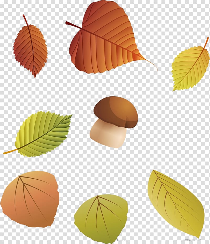 Autumn leaf color Autumn leaf color Deciduous, Leaves mushrooms transparent background PNG clipart
