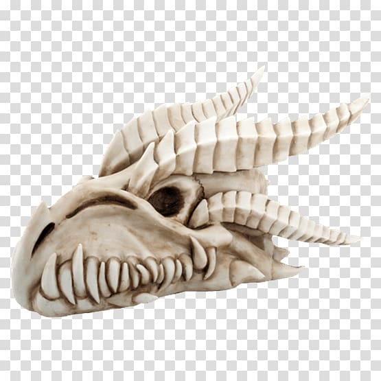 Skull Skeleton Dinosaur Dragon, skull transparent background PNG clipart