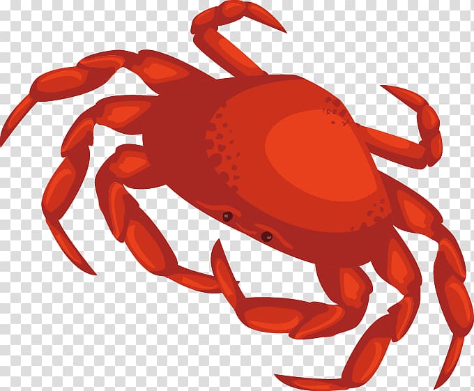Dungeness crab Drawing, Crab material transparent background PNG clipart