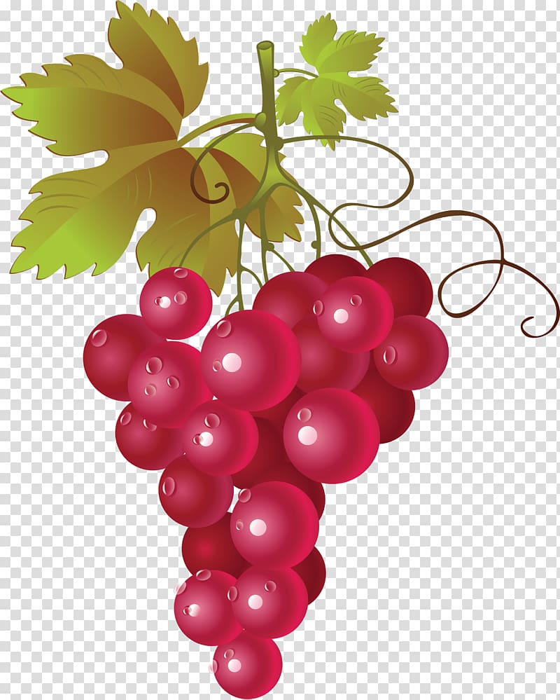 Red Wine Common Grape Vine , Grape transparent background PNG clipart