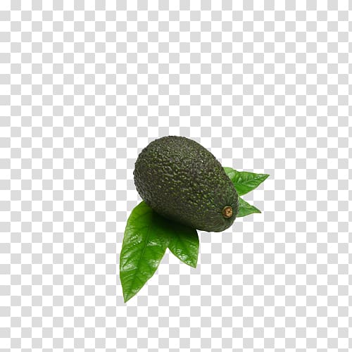 Avocado Fruit Auglis, Avocado transparent background PNG clipart