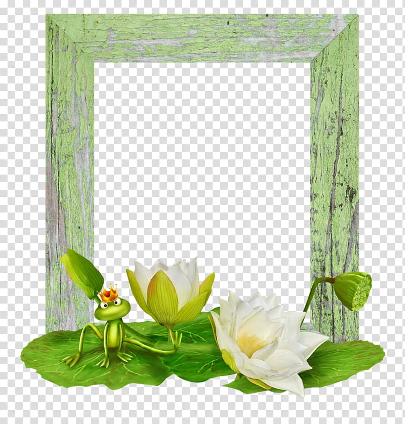 Flower Water lily Nelumbo nucifera , Flower creative floral background material transparent background PNG clipart