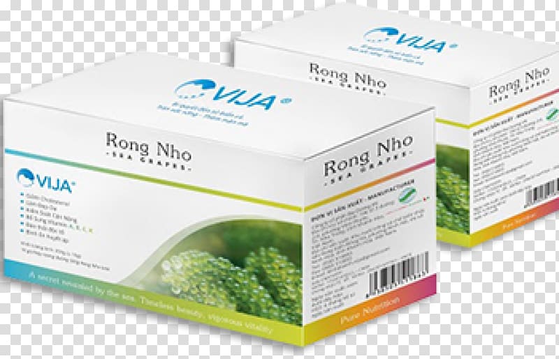 Caulerpa lentillifera Food Vietnam Seaweed Joint- company, RONG transparent background PNG clipart