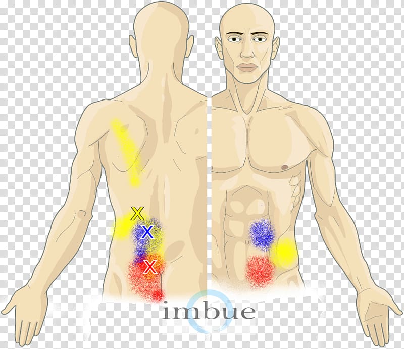 Finger Abdomen Human body Myofascial trigger point Abdominal pain, muscle Pain transparent background PNG clipart