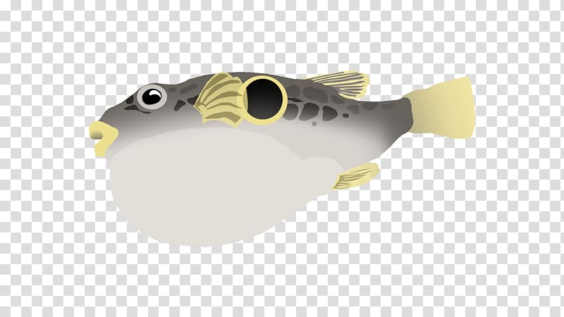 Fish, puffer transparent background PNG clipart | HiClipart