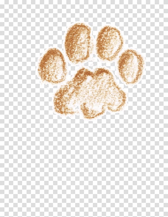 Cat Paw Animal La Salamandre School, Cat transparent background PNG clipart