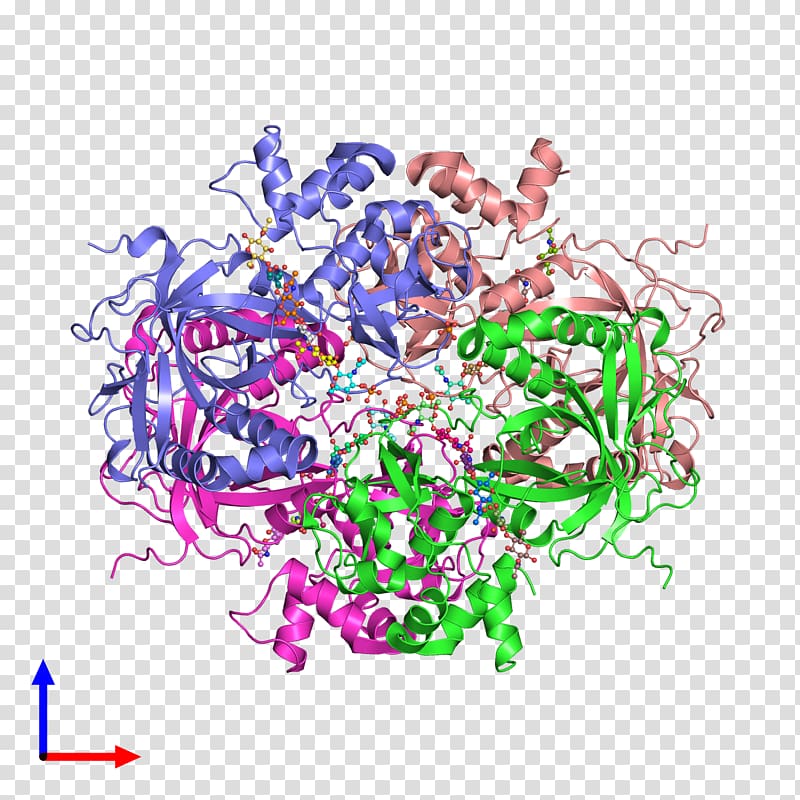 Bovine serum albumin , Shigatoxigenic And Verotoxigenic Escherichia Coli transparent background PNG clipart