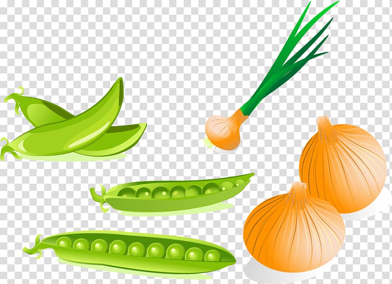 Pea Drawing , Beans onion material transparent background PNG clipart