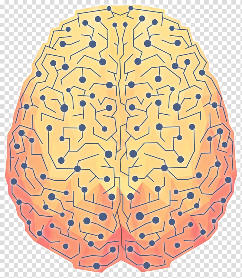 Medical psychology Euclidean Intelligence Knowledge, Brain circuit transparent background PNG clipart