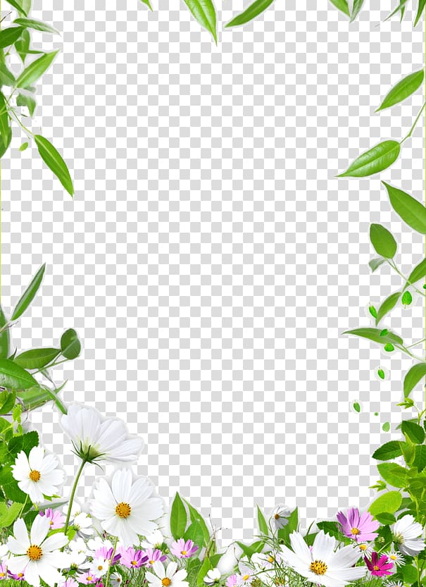 flower border transparent background PNG clipart
