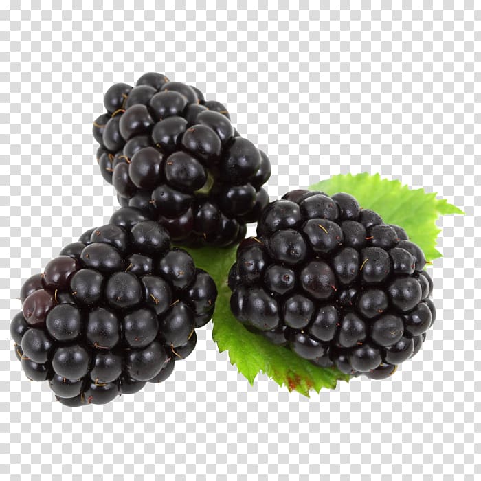 BlackBerry Fruit, blackberry transparent background PNG clipart