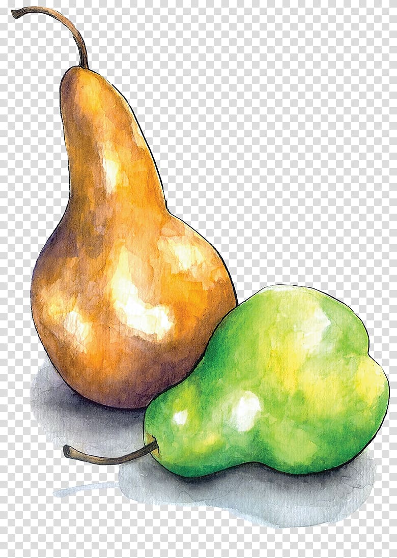 Brooksby Farm Farm to School Pear Gourd, Pear Juice transparent background PNG clipart